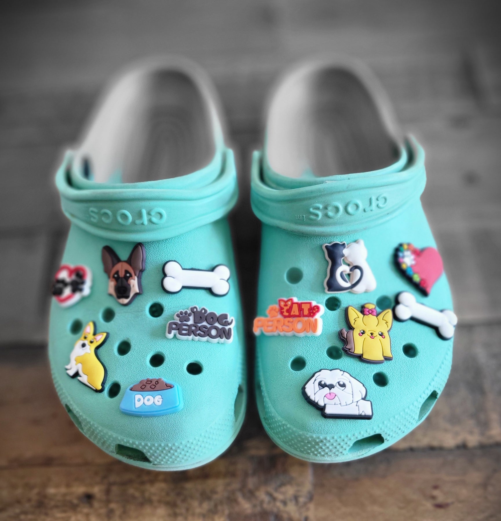  Crocs Jibbitz Pet Shoe Charms